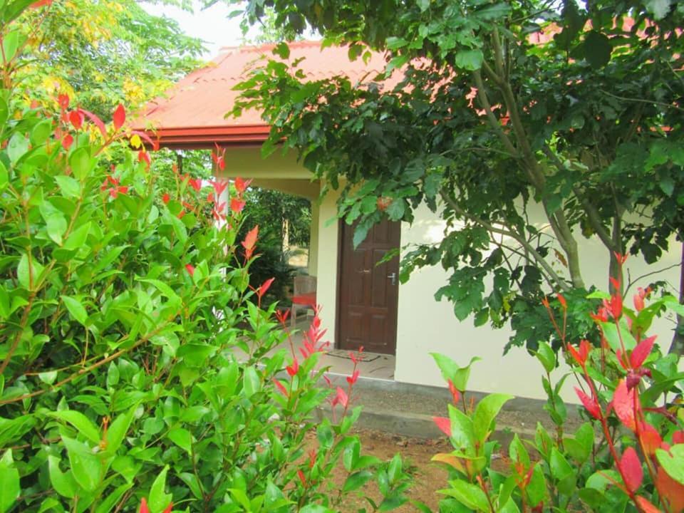 Hotel Tree Garden Wilpaththu Nochchiyagma Anuradhapura Nochchiyagama Eksteriør billede