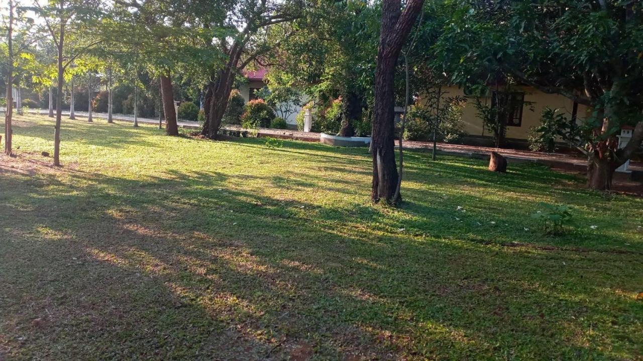 Hotel Tree Garden Wilpaththu Nochchiyagma Anuradhapura Nochchiyagama Eksteriør billede