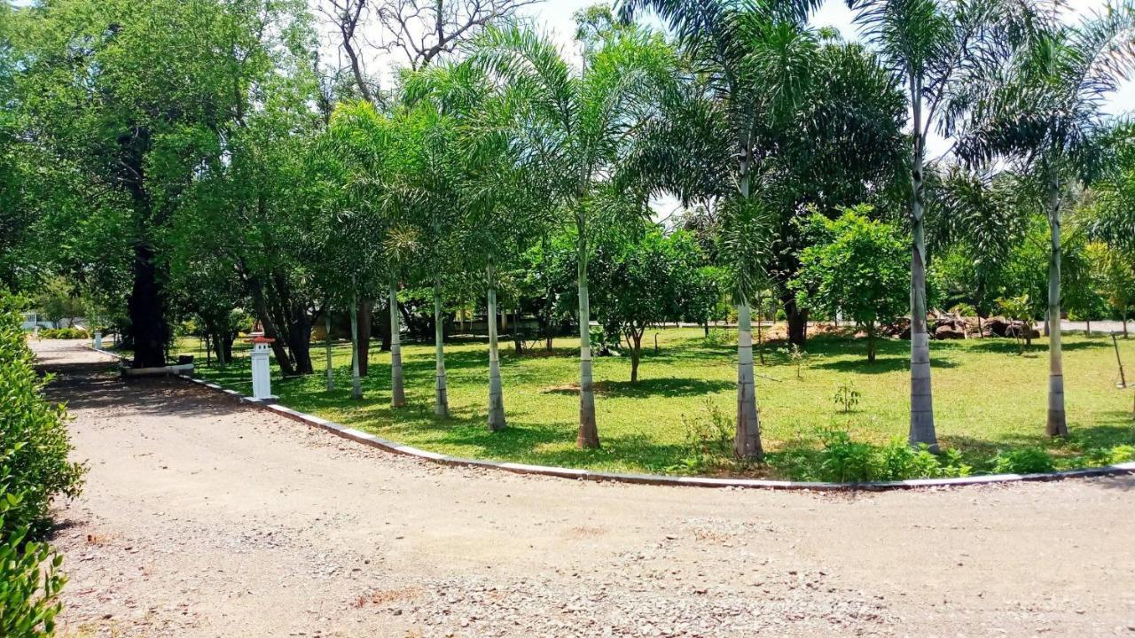 Hotel Tree Garden Wilpaththu Nochchiyagma Anuradhapura Nochchiyagama Eksteriør billede