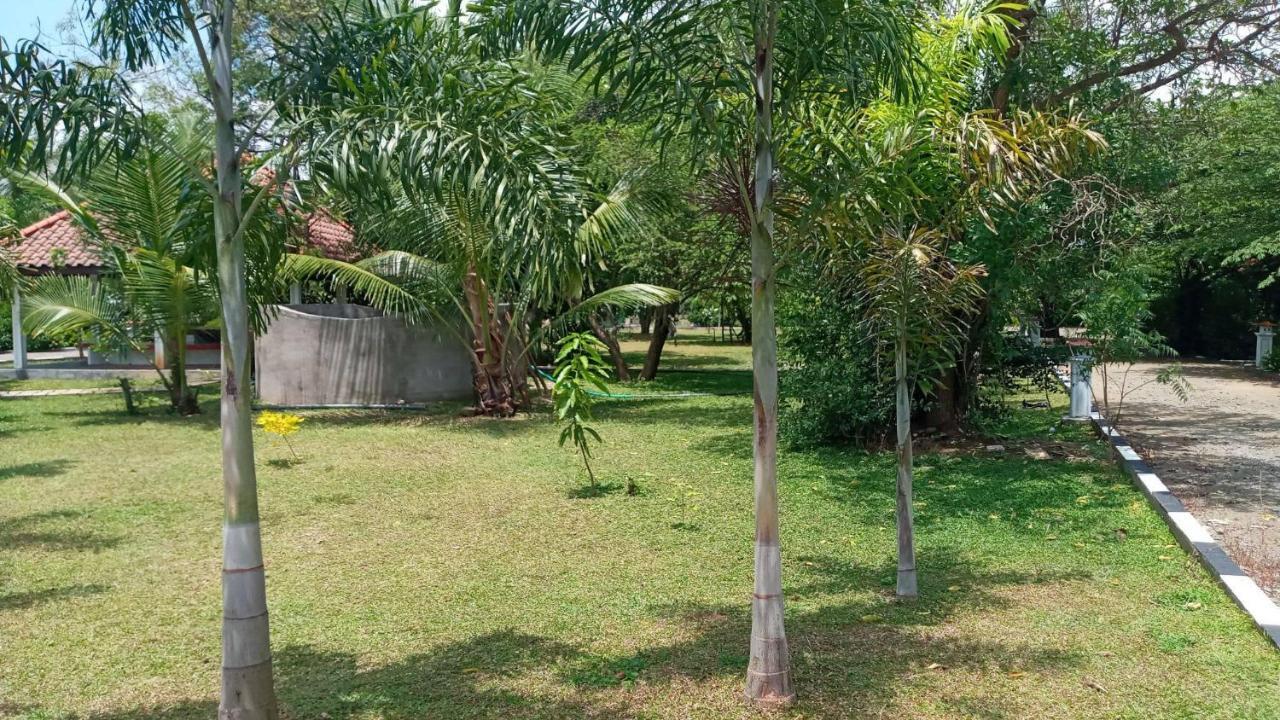 Hotel Tree Garden Wilpaththu Nochchiyagma Anuradhapura Nochchiyagama Eksteriør billede