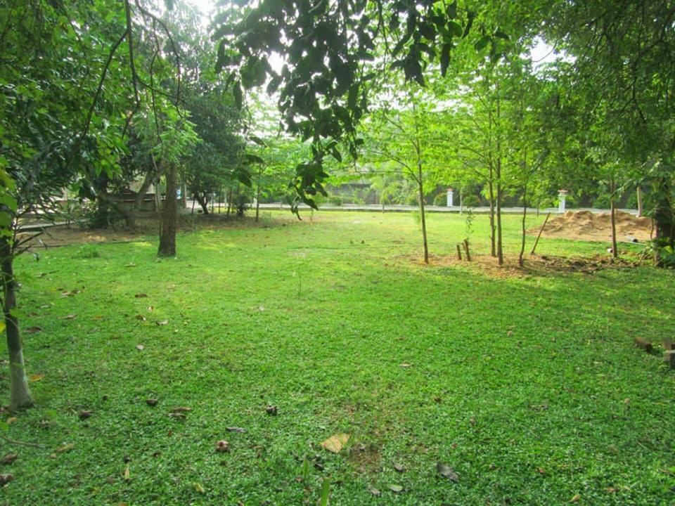 Hotel Tree Garden Wilpaththu Nochchiyagma Anuradhapura Nochchiyagama Eksteriør billede