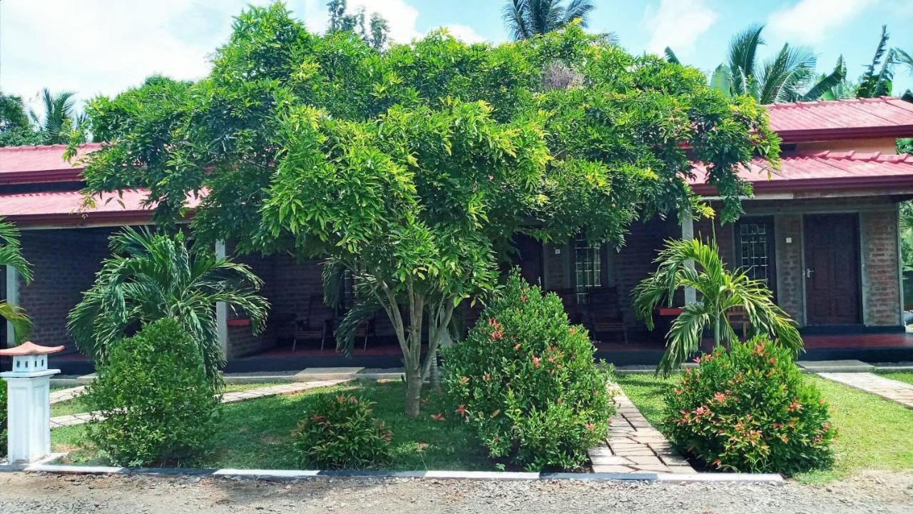 Hotel Tree Garden Wilpaththu Nochchiyagma Anuradhapura Nochchiyagama Eksteriør billede