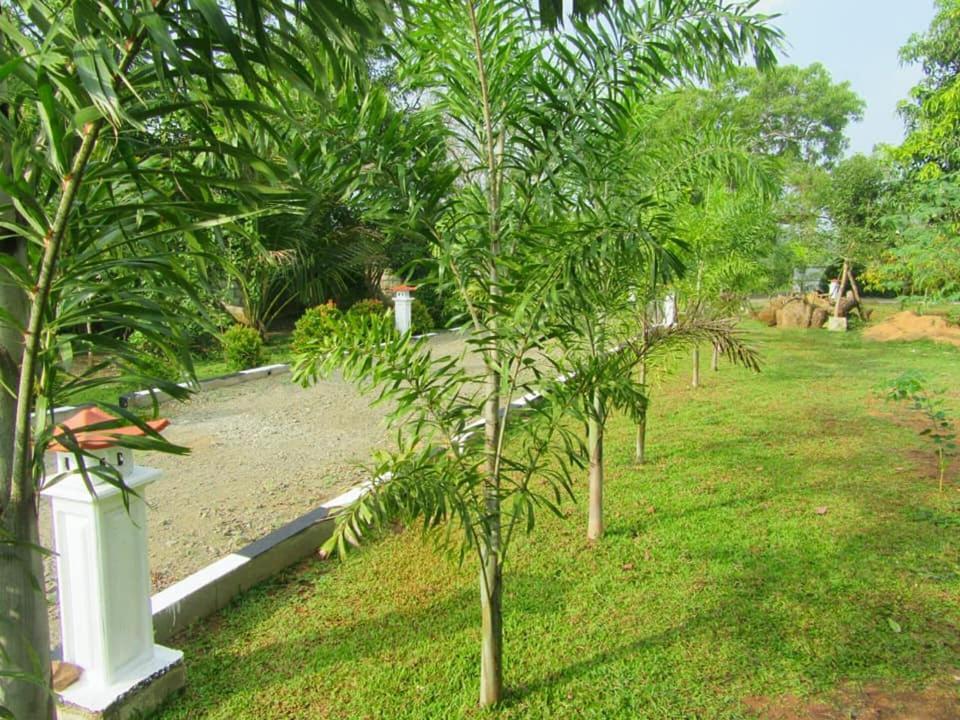 Hotel Tree Garden Wilpaththu Nochchiyagma Anuradhapura Nochchiyagama Eksteriør billede