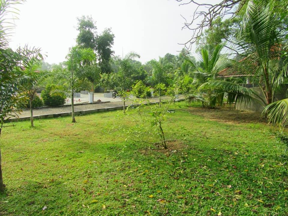 Hotel Tree Garden Wilpaththu Nochchiyagma Anuradhapura Nochchiyagama Eksteriør billede