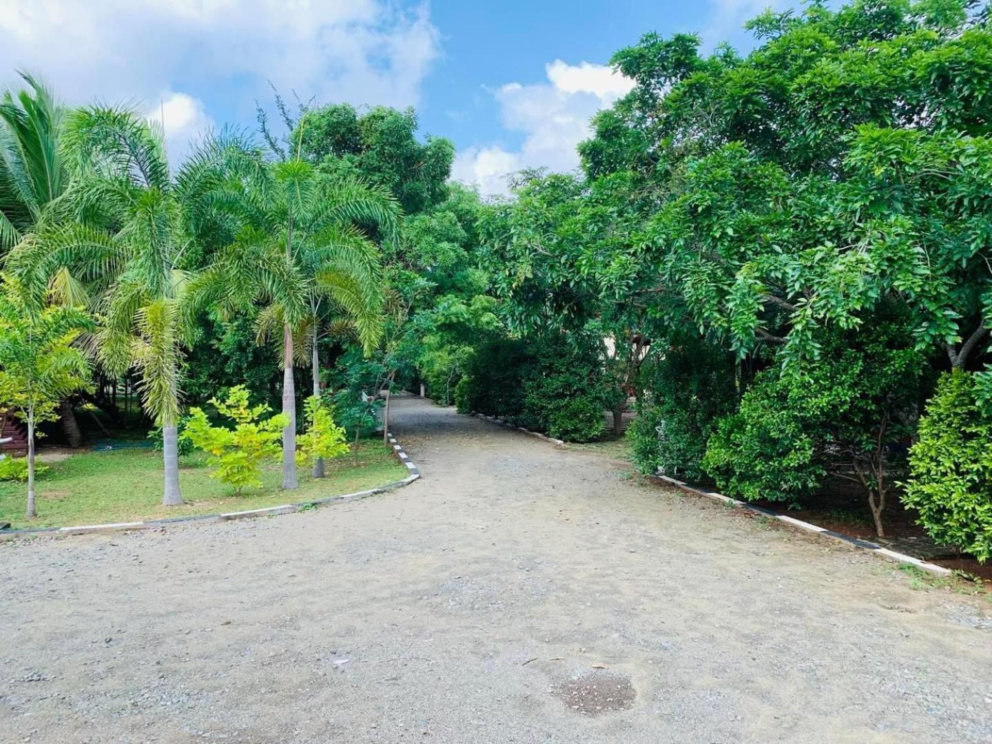 Hotel Tree Garden Wilpaththu Nochchiyagma Anuradhapura Nochchiyagama Eksteriør billede