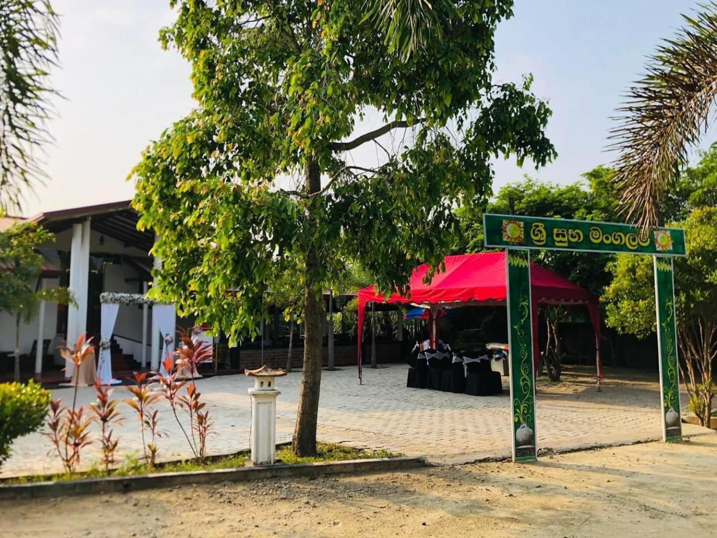 Hotel Tree Garden Wilpaththu Nochchiyagma Anuradhapura Nochchiyagama Eksteriør billede