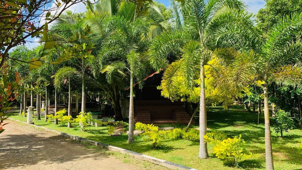 Hotel Tree Garden Wilpaththu Nochchiyagma Anuradhapura Nochchiyagama Eksteriør billede