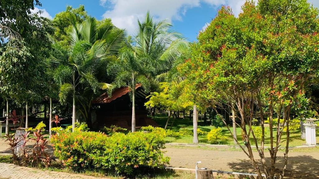 Hotel Tree Garden Wilpaththu Nochchiyagma Anuradhapura Nochchiyagama Eksteriør billede